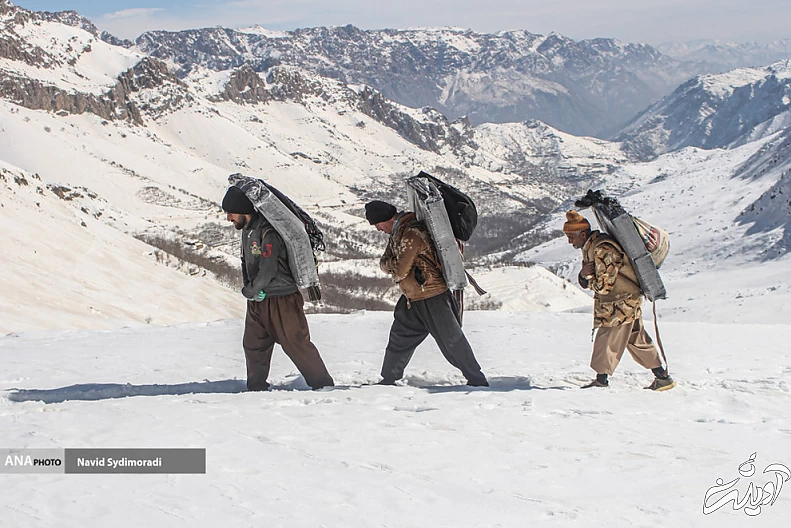 (تصاویر) کولبران کردستان